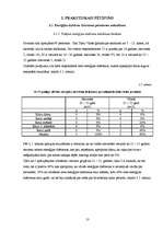 Referāts 'Kofeīna saturs Talsu tirdzniecības vietās iegādātajos enerģijas dzērienos', 13.