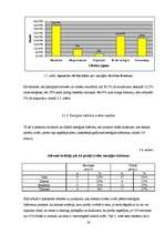 Referāts 'Kofeīna saturs Talsu tirdzniecības vietās iegādātajos enerģijas dzērienos', 19.