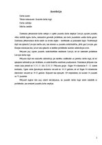 Referāts 'Jaunietis darba tirgū', 2.