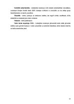 Referāts 'Jaunietis darba tirgū', 24.