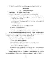 Prakses atskaite 'Prakses pārskats - kāzu salons', 8.