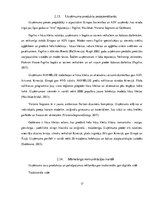 Prakses atskaite 'Prakses pārskats - kāzu salons', 17.