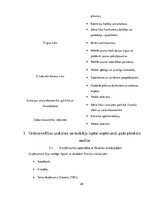 Prakses atskaite 'Prakses pārskats - kāzu salons', 20.