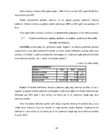 Prakses atskaite 'Prakses pārskats - kāzu salons', 25.