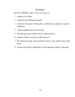 Prakses atskaite 'Prakses pārskats - kāzu salons', 30.