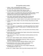 Prakses atskaite 'Prakses pārskats - kāzu salons', 31.