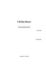 Referāts 'Blusas', 1.