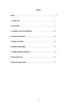 Referāts 'Blusas', 2.