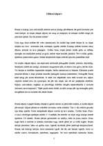 Referāts 'Blusas', 7.