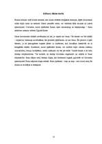 Referāts 'Blusas', 14.