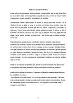 Referāts 'Blusas', 15.