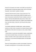 Referāts 'Blusas', 16.