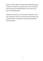 Referāts 'Blusas', 17.