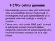 Prezentācija 'Mycobacterium tuberculosis morfoloģija, genoma uzbūve, fizioloģija un bioķīmija', 17.