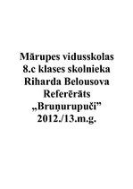Referāts 'Bruņurupuči', 1.