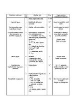 Paraugs 'Vispārattīstošie vingrojumi sporta stundai', 1.