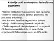 Prezentācija 'Niķelis un kadmijs', 11.