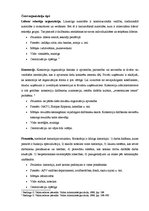 Konspekts 'Organizāciju socioloģija', 1.