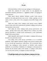 Referāts 'Vispārīgie tiesību principi', 2.