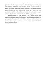 Referāts 'Vispārīgie tiesību principi', 26.