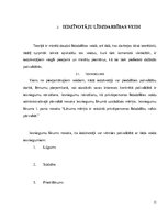 Referāts 'Iedzīvotāju līdzdalība pašvaldību darbā', 11.