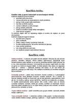 Konspekts 'Konflikti', 2.