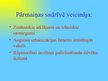 Prezentācija 'Pārmaiņas cilvēku dzīves veidā 20.gadsimta sākumā', 2.