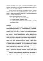 Referāts 'Bilances pasīva audits', 10.