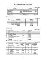 Biznesa plāns 'SIA “Miks datori” biznesa plāns', 30.