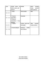 Prakses atskaite 'Sociālo zinību skolotāja kvalifikācijas prakses atskaite', 7.