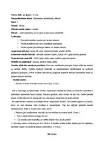 Prakses atskaite 'Sociālo zinību skolotāja kvalifikācijas prakses atskaite', 8.