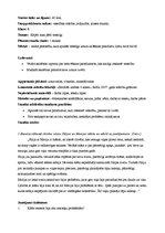 Prakses atskaite 'Sociālo zinību skolotāja kvalifikācijas prakses atskaite', 12.