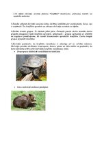 Prakses atskaite 'Sociālo zinību skolotāja kvalifikācijas prakses atskaite', 23.