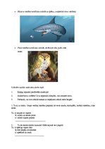 Prakses atskaite 'Sociālo zinību skolotāja kvalifikācijas prakses atskaite', 24.