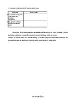 Prakses atskaite 'Sociālo zinību skolotāja kvalifikācijas prakses atskaite', 27.