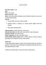 Prakses atskaite 'Sociālo zinību skolotāja kvalifikācijas prakses atskaite', 28.