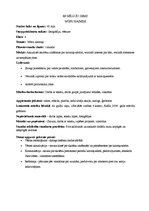 Prakses atskaite 'Sociālo zinību skolotāja kvalifikācijas prakses atskaite', 31.