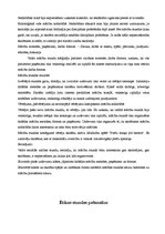 Prakses atskaite 'Sociālo zinību skolotāja kvalifikācijas prakses atskaite', 40.