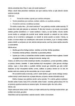 Prakses atskaite 'Sociālo zinību skolotāja kvalifikācijas prakses atskaite', 41.