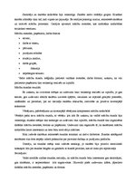 Prakses atskaite 'Sociālo zinību skolotāja kvalifikācijas prakses atskaite', 42.