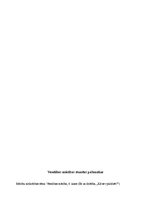 Prakses atskaite 'Sociālo zinību skolotāja kvalifikācijas prakses atskaite', 43.