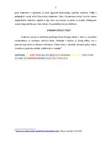 Eseja 'Kognitīvi procesi', 5.