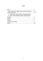 Referāts 'Jauniešu raksturīgākās problēmas', 2.