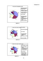 Referāts 'Jauniešu raksturīgākās problēmas', 28.
