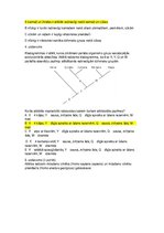 Paraugs 'Evolūcija', 2.