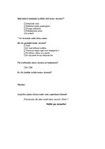 Referāts 'Dokumentācijas izstrāde trīszvaigžņu viesnīcai', 36.