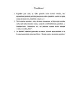 Referāts 'Dokumentācijas izstrāde trīszvaigžņu viesnīcai', 39.