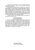Konspekts 'Robežakmeņi un Kapakmeņi', 6.