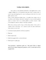 Konspekts 'Lietišķa cilvēka ārējais izskats un ģērbšanās stils', 7.