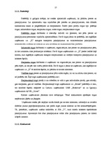 Diplomdarbs 'Z/s "Apses" saimnieciskās darbības analīze un attīstības iespējas periodā no 200', 27.